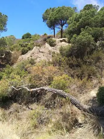 Photo de Cova de les Encantades