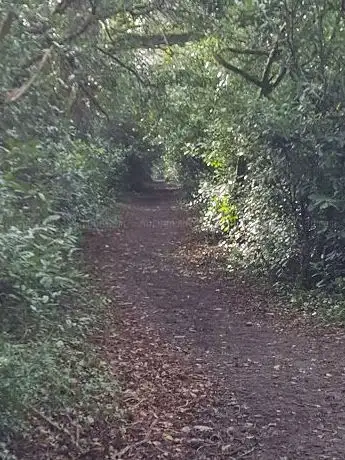 Photo de Native Woodland Trust-Ballinakelly Wood Reserve