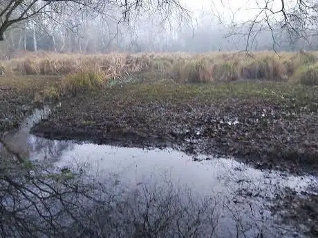 Photo de Bixley Heath Nature Reserve