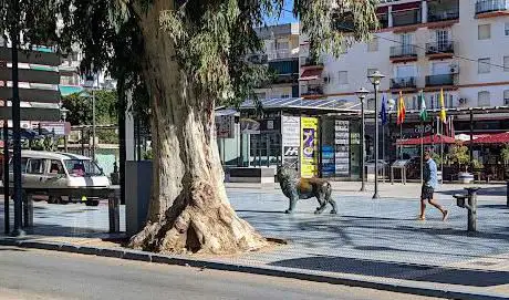 Photo de Plaza Juan Aguilar Osuna
