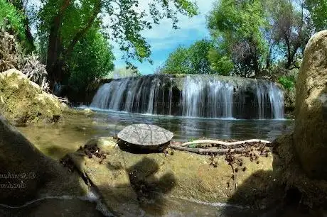 Photo de Kocalar Hemziya Şelalesi
