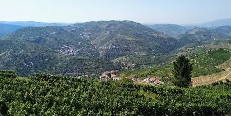 Photo de Miradouro de São Pedro de Lobrigos
