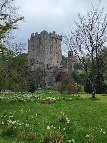Photo de Blarney Stone