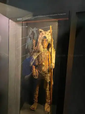 Photo de Museum of Prehistory