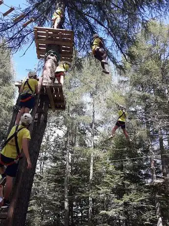 Photo of Adventure park Jungle Raider Park