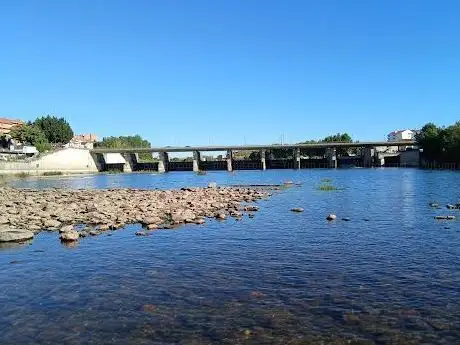 Photo of Picnic Park