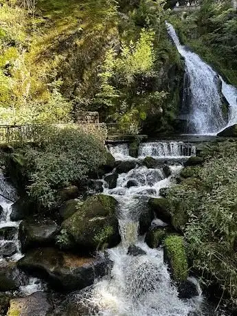 Photo de Triberg Waterfalls - Main Entrance