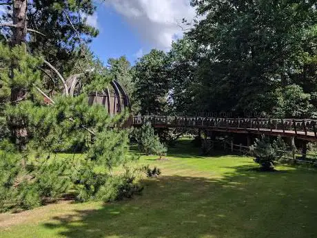 Photo de Treetop Walkway