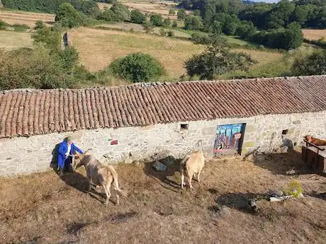 Photo de Pazo de Sabadelle