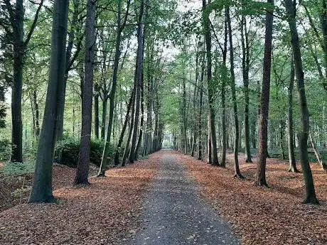 Photo de Speelbos Marselaere