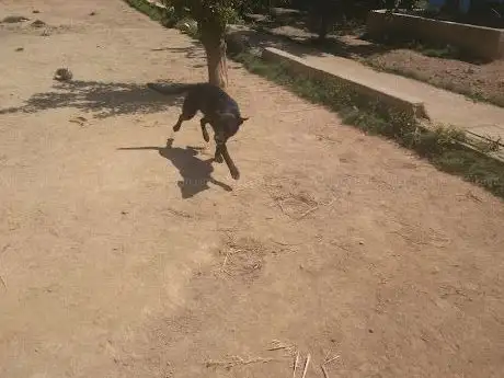 Photo de Adenya Lojman