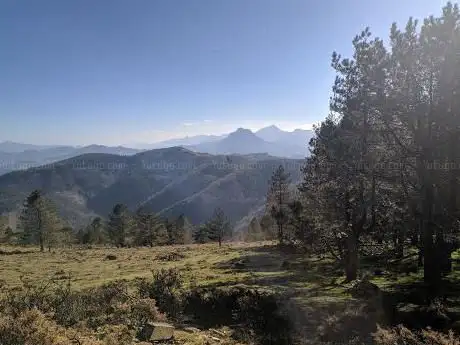 Photo de Cima Arrola
