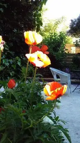 Photo of Le jardin du Revers