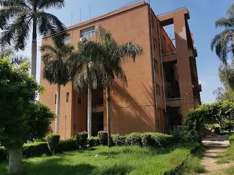 Photo de شجره الكيمياء
