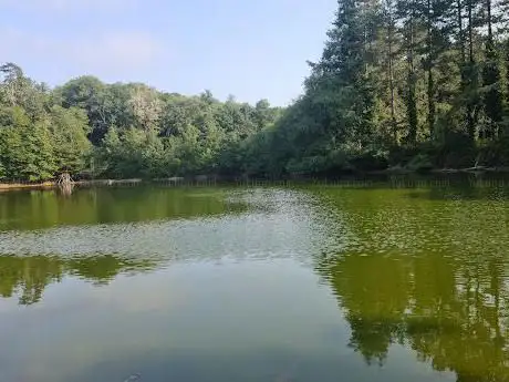 Photo de Riserva Naturale Falascone