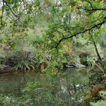 Photo de Parc de la Chêneraie