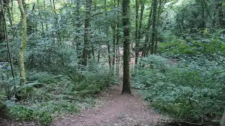 Photo de Scadson Woods