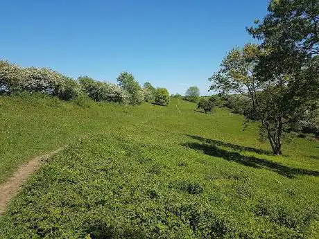 Photo de YWT Sherburn Willows Nature Reserve