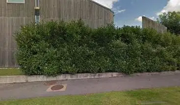 Photo de La Maison du Rire