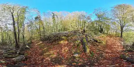 Photo de Ness Country Park