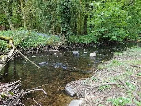 Photo de Rossmore Forest Park (Main Entrance)