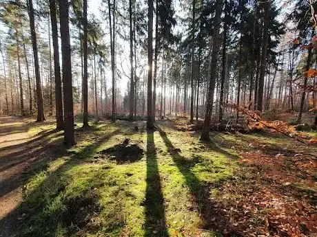 Photo de Dahlener Heide