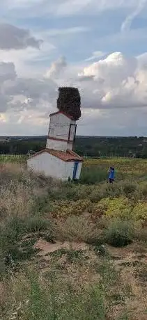 Photo de Nido de cigüeñas