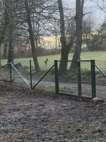 Photo de Hundrastgård Hisingsparken