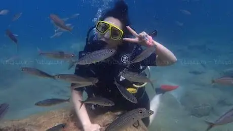 Photo de Magic Dive Alanya