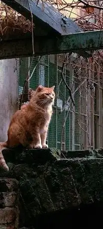 Photo de kargART
