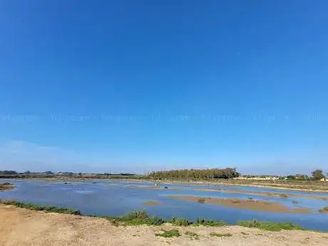 Photo de Coto de la Isleta