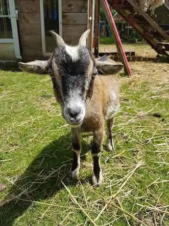 Photo de La ferme du Fays