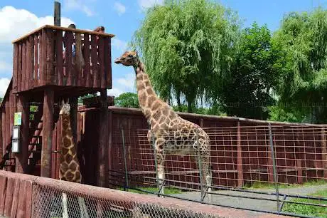Photo de Lupa Zoo