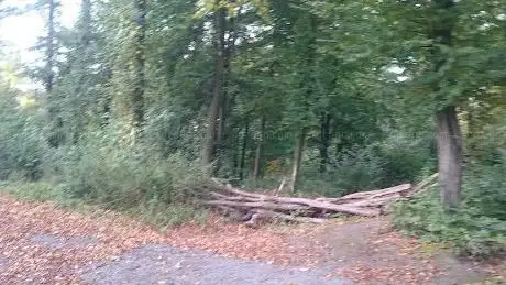 Photo de Hölterwald