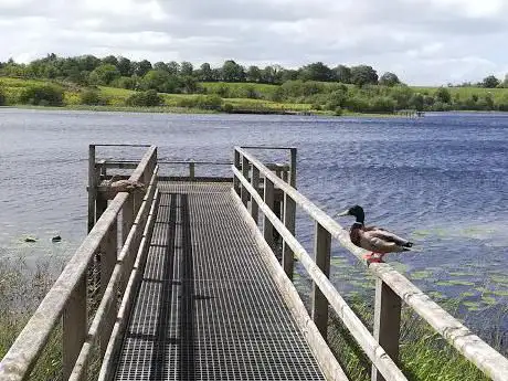 Killyfole Lake Scenic Walk