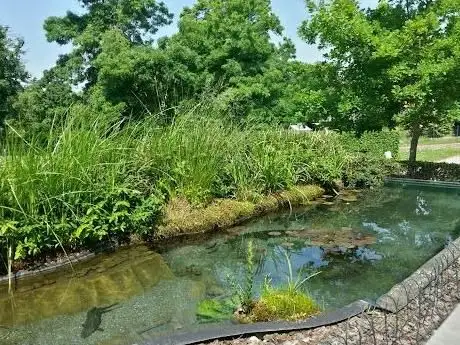 Photo de Acquario di Ariis