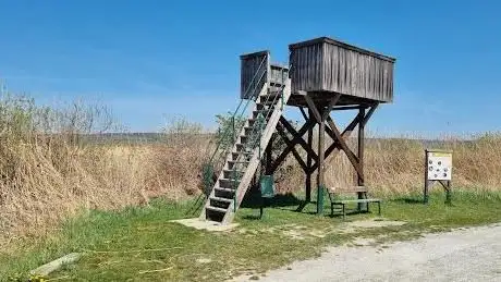 Photo de Aussichtsturm