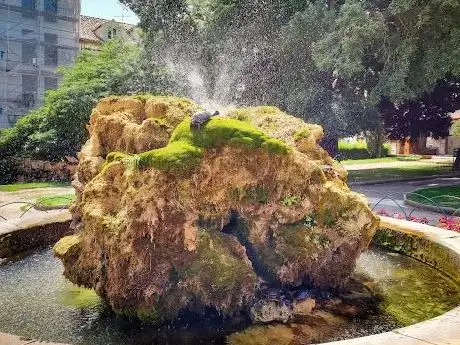 Photo de Turtles fountain