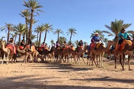 Photo de SAFARI DESERT TOURS