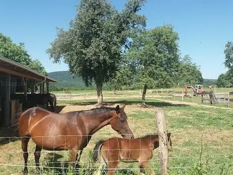 Photo de Kasački Klub Diamant