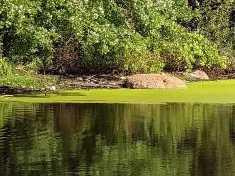 Photo de John Chanda Park