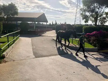 Photo de School of Equestrian Art Costa Del Sol