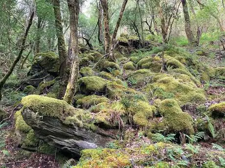 Photo de Camiño Posada Vella