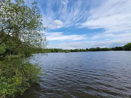 Hillsborough Forest Park