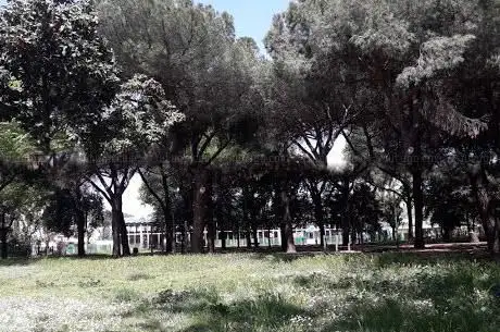 Photo de Parco Madre Teresa di Calcutta
