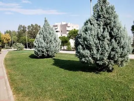 Photo de Park