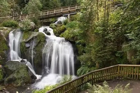 Photo de Triberg Waterfall