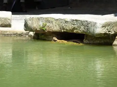 Photo of Thermes de Bath