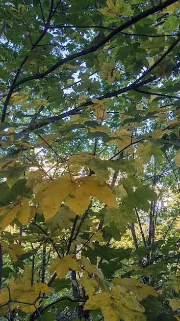 Photo de Parc Promenade Pereire