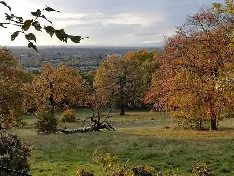 Foto de Oxleas Meadows